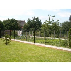 5,00 mètres de long