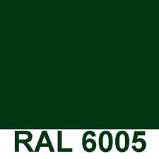 Vert RAL 6005 Brillant